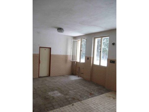 Foto 110
